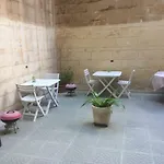 B&B Maltese
