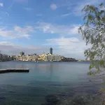 Maltese 3*