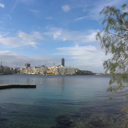 Maltese 3*